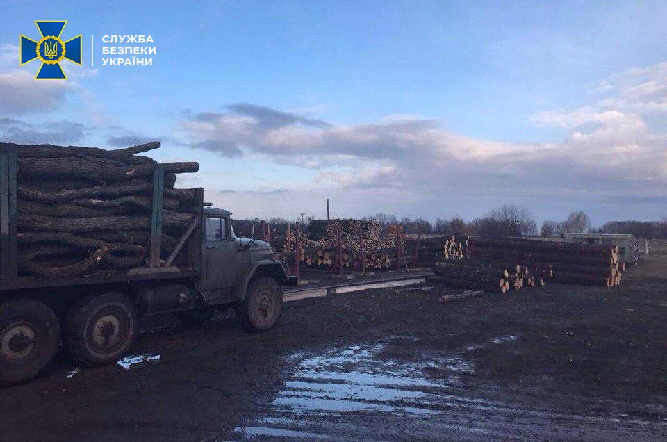 За крадіжку деревини —  до в’язниці